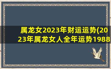 属龙女2023年财运运势(20