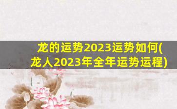 龙的运势2023运势如何(龙人2023年全年运势运程)