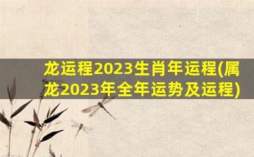 龙运程2023生肖年运程(属