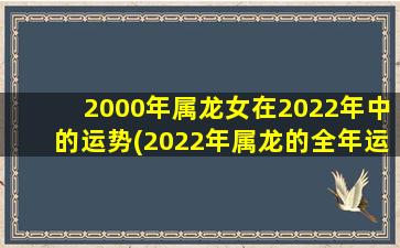 2000年属龙女在2022年中的运势(2022年属龙的全年运势)
