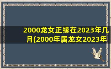 <strong>2000龙女正缘在2023年几月</strong>