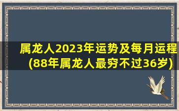 <strong>属龙人2023年运势及每月运</strong>