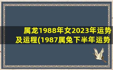 属龙1988年女2023年运势及运程(1987属兔下半年运势)