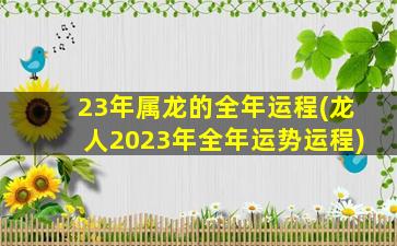 23年属龙的全年运程(龙人2023年全年运势运程)