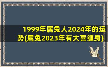 1999年属兔人2024年的运势(属兔2023年有大喜缠身)