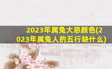 2023年属兔大忌颜色(2023年属兔人的五行缺什么)