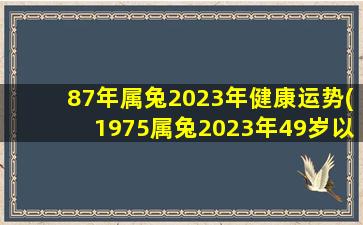 87年属兔2023年健康运势(1975属兔2023年49岁以后运气)