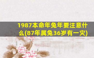 <strong>1987本命年兔年要注意什</strong>