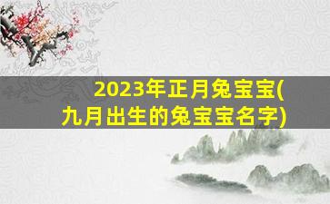 <strong>2023年正月兔宝宝(九月出</strong>