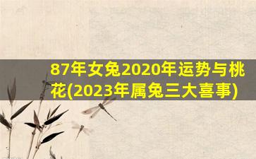 87年女兔2020年运势与桃花(2023年属兔三大喜事)