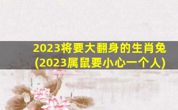 2023将要大翻身的生肖兔(2023属鼠要小心一个人)