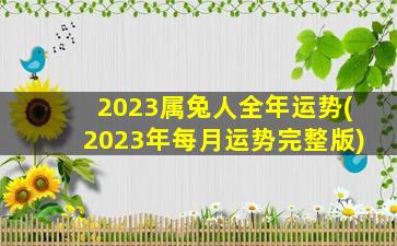 2023属兔人全年运势(2023年每月运势完整版)