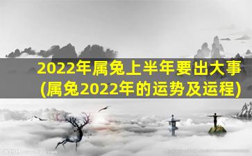 2022年属兔上半年要出大事(属兔2022年的运势及运程)