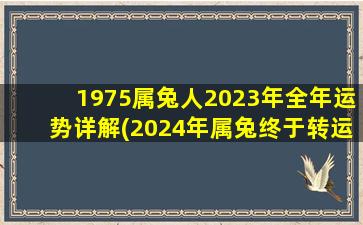 1975属兔人2023年全年运势详解(2024年属兔终于转运了)