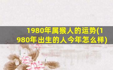 <strong>1980年属猴人的运势(198</strong>