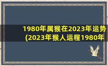 1980年属猴在2023年运势(2023年猴人运程1980年)