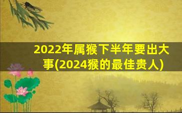 2022年属猴下半年要出大
