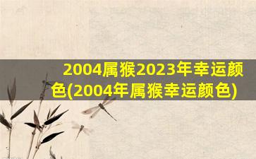 2004属猴2023年幸运颜色(2