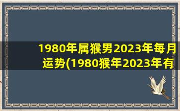 1980年属猴男2023年每月运势(1980猴年2023年有横财)
