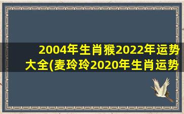2004年生肖猴2022年运势大全(麦玲玲2020年生肖运势)