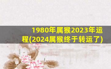 1980年属猴2023年运程(2024属猴终于转运了)