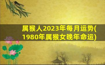 属猴人2023年每月运势(1980年属猴女晚年命运)