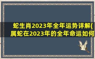 蛇生肖2023年全年运势详