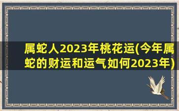 属蛇人2023年桃花运(今年属