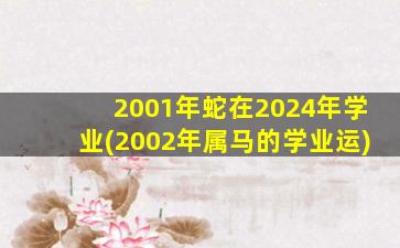 2001年蛇在2024年学业(2002年
