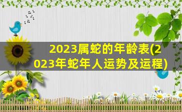 2023属蛇的年龄表(2023年蛇