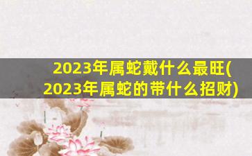 2023年属蛇戴什么最旺(20