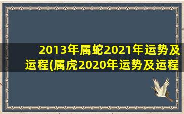 2013年属蛇2021年运势及运程(属虎2020年运势及运程)