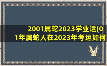 2001属蛇2023学业运(01年属