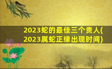 <strong>2023蛇的最佳三个贵人(</strong>