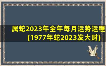 属蛇2023年全年每月运势运程(1977年蛇2023发大财)