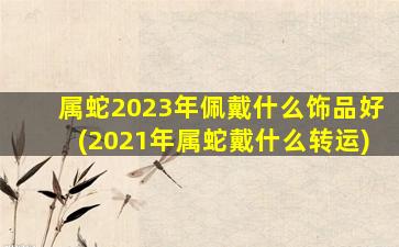 <strong>属蛇2023年佩戴什么饰品</strong>