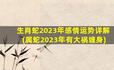 生肖蛇2023年感情运势详解(属蛇2023年有大祸缠身)