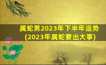 属蛇男2023年下半年运势(2023年属蛇要出大事)