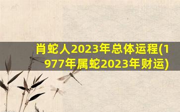 肖蛇人2023年总体运程(