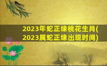 2023年蛇正缘桃花生肖(20