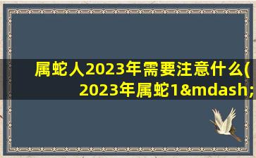 属蛇人2023年需要注意什么(2023年属蛇1—12月运气)