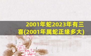 2001年蛇2023年有三喜(20