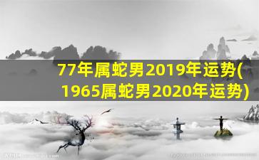 77年属蛇男2019年运势(196