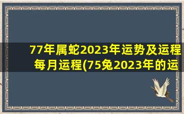77年属蛇2023年运势及运程每月运程(75兔2023年的运势及运程)