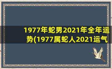 1977年蛇男2021年全年运势(1977属蛇人2021运气)