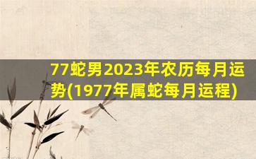 77蛇男2023年农历每月运势