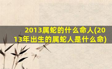 <strong>2013属蛇的什么命人(2013年</strong>