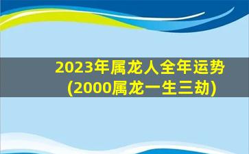 2023年属龙人全年运势(