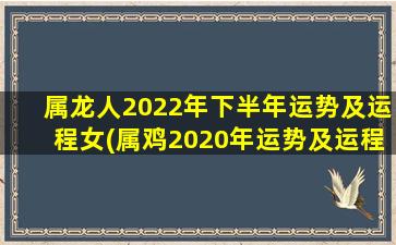 属龙人2022年下半年运势及运程女(属鸡2020年运势及运程)