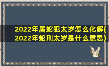 <strong>2022年属蛇犯太岁怎么化</strong>
